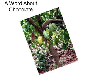 A Word About Chocolate