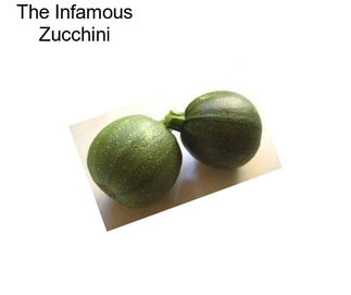 The Infamous Zucchini
