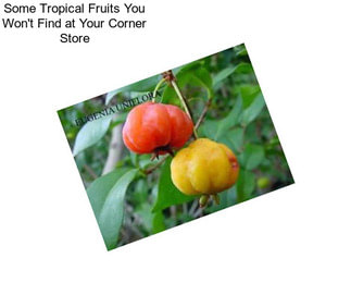 Some Tropical Fruits You Won\'t Find at Your Corner Store