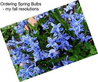 Ordering Spring Bulbs - my fall resolutions