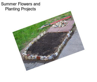 Summer Flowers and Planting Projects