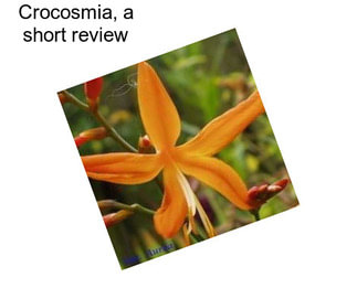 Crocosmia, a short review