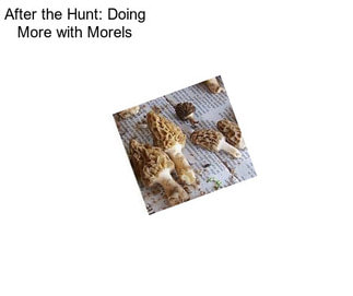 After the Hunt: Doing More with Morels