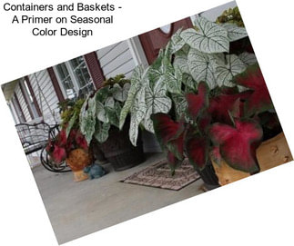 Containers and Baskets - A Primer on Seasonal Color Design