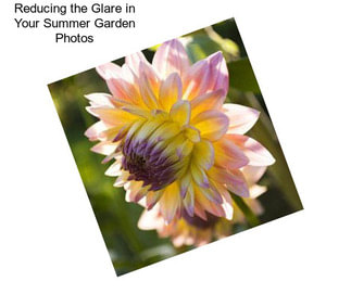 Reducing the Glare in Your Summer Garden Photos