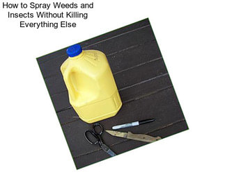 How to Spray Weeds and Insects Without Killing Everything Else