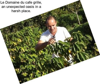Le Domaine du cafe grille, an unexpected oasis in a harsh place.