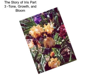 The Story of Iris Part 3 -Tone, Growth, and Bloom