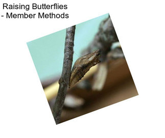 Raising Butterflies - Member Methods