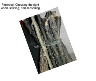 Firewood: Choosing the right wood, splitting, and seasoning