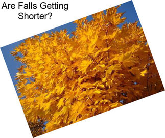 Are Falls Getting Shorter?