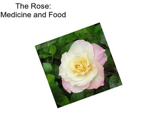The Rose: Medicine and Food