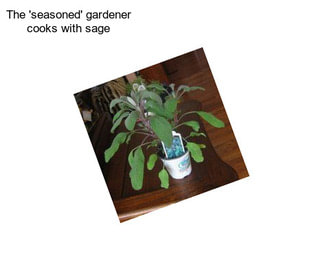 The \'seasoned\' gardener cooks with sage