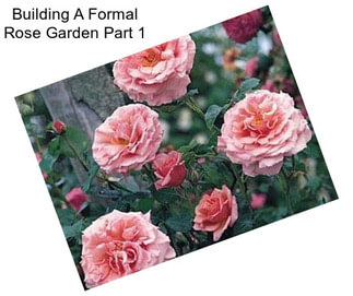 Building A Formal Rose Garden Part 1