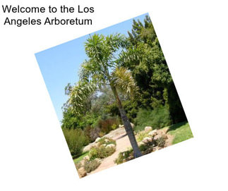 Welcome to the Los Angeles Arboretum