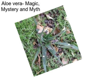 Aloe vera- Magic, Mystery and Myth