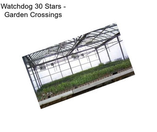 Watchdog 30 Stars - Garden Crossings