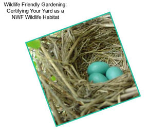 Wildlife Friendly Gardening: Certifying Your Yard as a NWF Wildlife Habitat