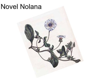 Novel Nolana