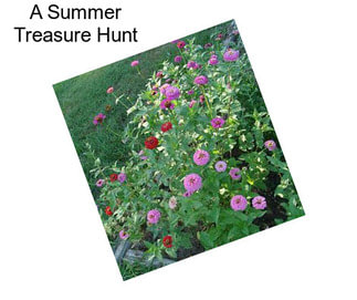 A Summer Treasure Hunt