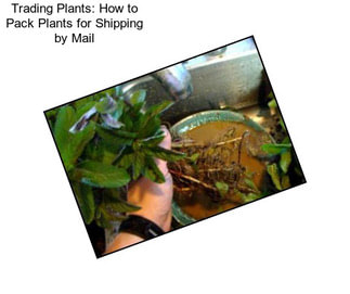 Trading Plants: How to Pack Plants for Shipping by Mail