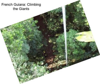 French Guiana: Climbing the Giants