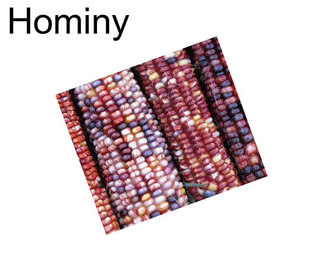 Hominy