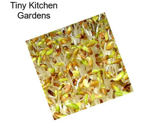 Tiny Kitchen Gardens