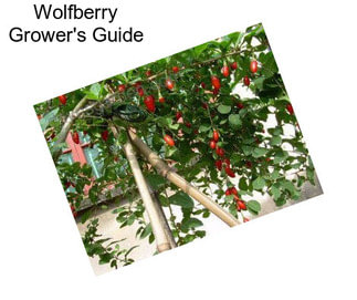 Wolfberry Grower\'s Guide