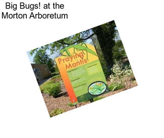 Big Bugs! at the Morton Arboretum