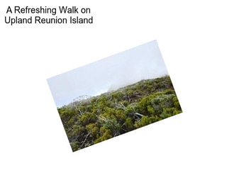 A Refreshing Walk on Upland Reunion Island