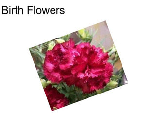 Birth Flowers