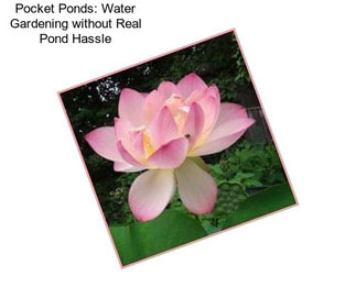 Pocket Ponds: Water Gardening without \