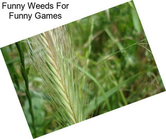 Funny Weeds For Funny Games