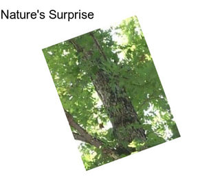 Nature\'s Surprise