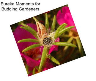 Eureka Moments for Budding Gardeners