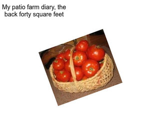 My patio farm diary, the back forty square feet