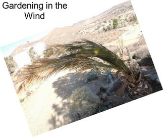 Gardening in the Wind