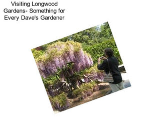 Visiting Longwood Gardens- Something for Every Dave\'s Gardener