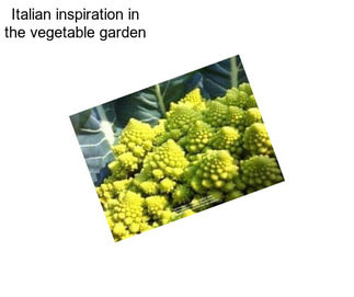 Italian inspiration in the vegetable garden