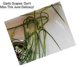 Garlic Scapes: Don\'t Miss This June Delicacy!