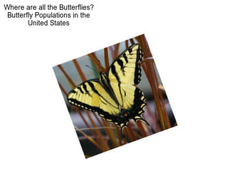 Where are all the Butterflies? Butterfly Populations in the United States