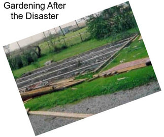 Gardening After the Disaster