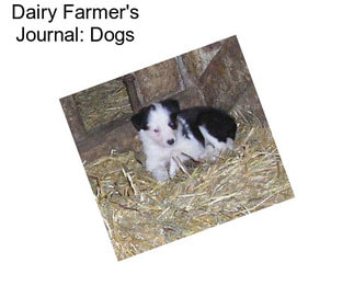 Dairy Farmer\'s Journal: Dogs