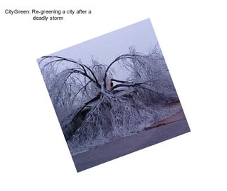 CityGreen: Re-greening a city after a deadly storm