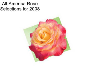 All-America Rose Selections for 2008