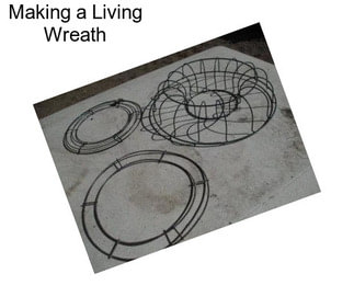 Making a Living Wreath