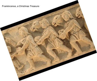 Frankincense, a Christmas Treasure