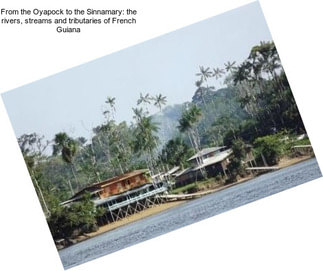 From the Oyapock to the Sinnamary: the rivers, streams and tributaries of French Guiana