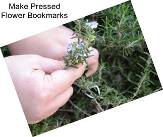 Make Pressed Flower Bookmarks